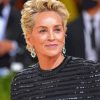 Sharon Stone Diamond Paintings