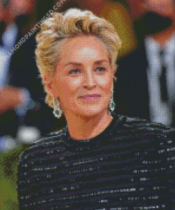 Sharon Stone Diamond Paintings