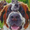 St Bernard Dog With Birds Diamond Paintings