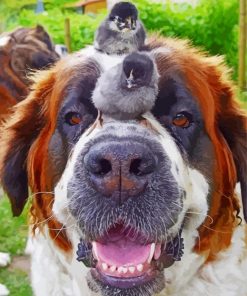 St Bernard Dog With Birds Diamond Paintings