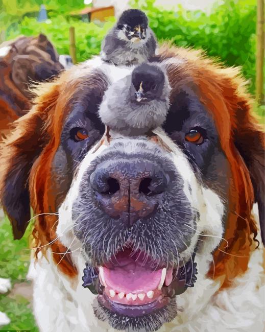 St Bernard Dog With Birds Diamond Paintings