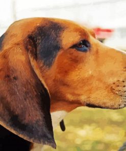 Treeing Walker Coonhound Diamond Paintings