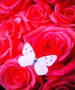 White Butterfly Rose Diamond Paintings