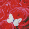 White Butterfly Rose Diamond Paintings