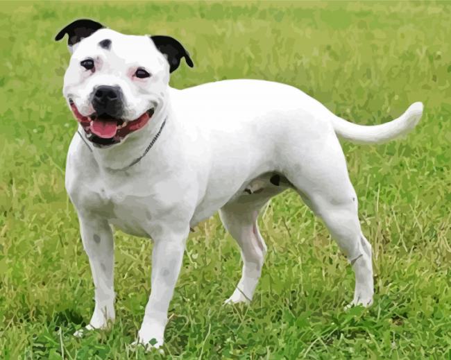 White Staffy Dog Diamond Paintings