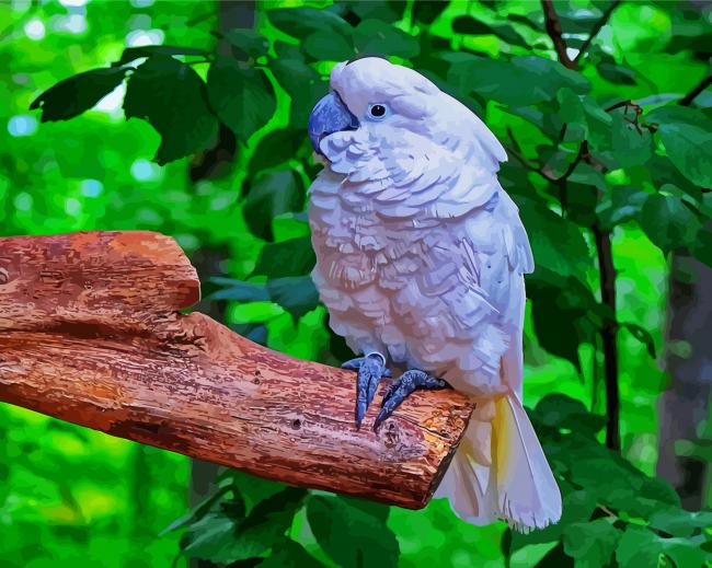 White Umbrella Cockatoo Diamond Paintings