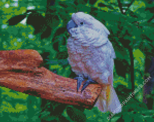 White Umbrella Cockatoo Diamond Paintings