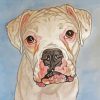 White Boxer Diamond Paintings