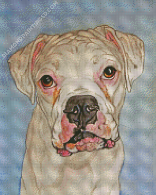 White Boxer Diamond Paintings