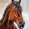 Abstract Brown Horse Head Diamond Paintings