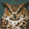 aesthetic Horned Owl Bird Diamond Paintings