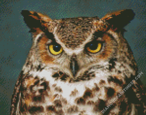 aesthetic Horned Owl Bird Diamond Paintings