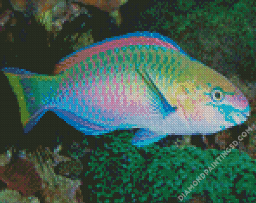 Aesthetic Parrot Fish Art Diamond Paintings