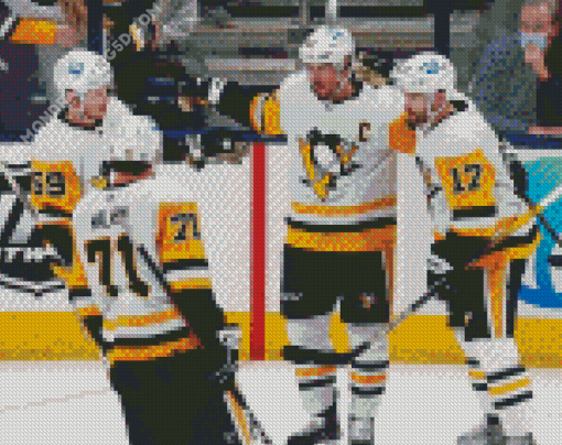 Aesthetic Pittsburgh Penguins Art Diamond Paintings