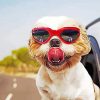 Aesthetic Puppy With Sunglasses Diamond Paintings