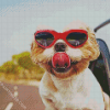 Aesthetic Puppy With Sunglasses Diamond Paintings