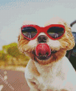 Aesthetic Puppy With Sunglasses Diamond Paintings