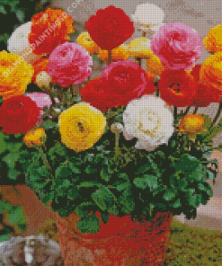 Aesthetic Ranunculus Diamond Paintings