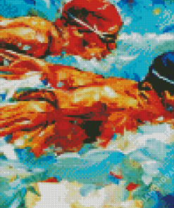 Aesthetic Swimmers Diamond Paintings