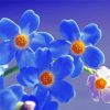 Beautiful Forget Me Nots Flowers Diamond Paintings