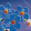 Beautiful Forget Me Nots Flowers Diamond Paintings