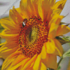 Beautiful Sunflower And Bee Diamond Paintings