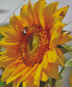 Beautiful Sunflower And Bee Diamond Paintings