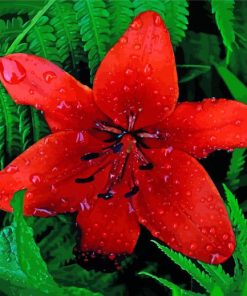 Beautiful Red Lily Diamond Paintings