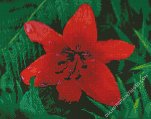 Beautiful Red Lily Diamond Paintings