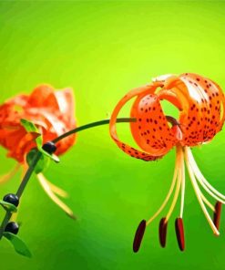 Beautiful Tiger Lilies Diamond Paintings