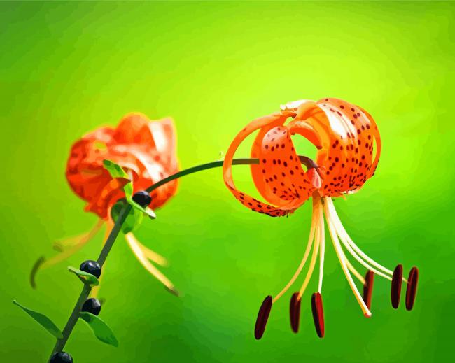 Beautiful Tiger Lilies Diamond Paintings