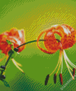 Beautiful Tiger Lilies Diamond Paintings