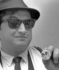 Black And White Comedian Belushi Diamond Paintings