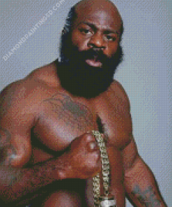 Boxer Kimbo Slice Diamond Paintings