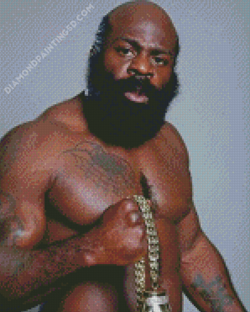 Boxer Kimbo Slice Diamond Paintings