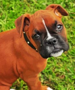 Boxer Dogs Puppies Diamond Paintings