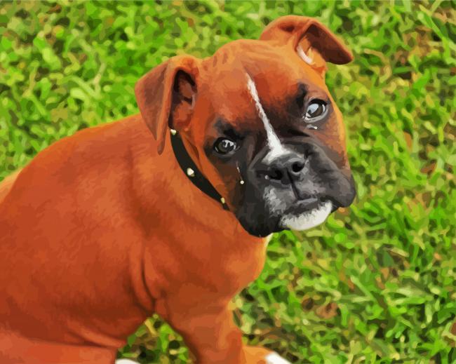 Boxer Dogs Puppies Diamond Paintings