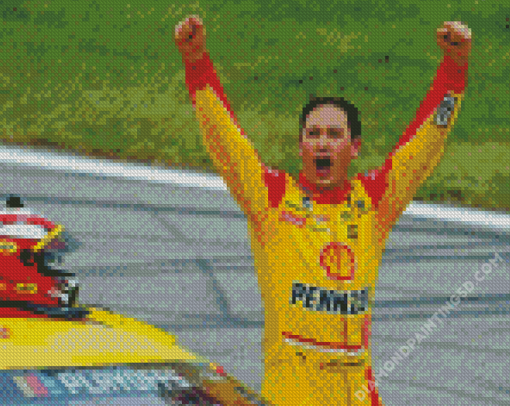 Cars Racer Joey Logano Diamond Paintings