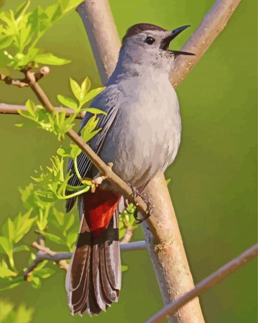 Catbird Singing On A branch Diamond Paintings