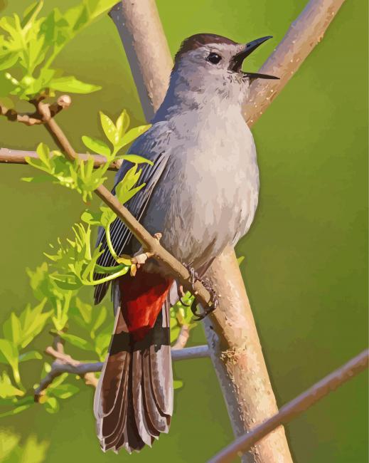 Catbird Singing On A branch Diamond Paintings