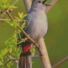 Catbird Singing On A branch Diamond Paintings