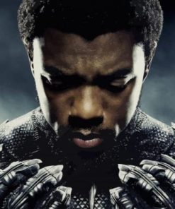 Chadwick Boseman As Black Panther Diamond Paintings