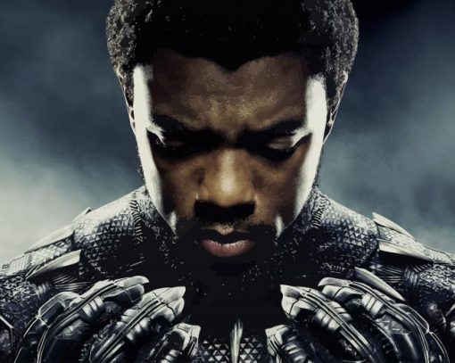 Chadwick Boseman As Black Panther Diamond Paintings