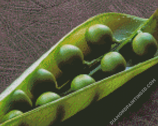 Close Up Peas In A Pod Diamond Paintings