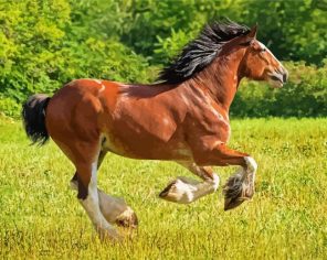 Clydesdale Horse Running Diamond Paintings