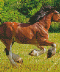 Clydesdale Horse Running Diamond Paintings