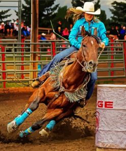 Colorful Barrel Racing Diamond Paintings