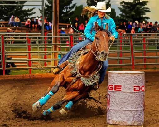 Colorful Barrel Racing Diamond Paintings