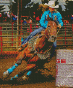 Colorful Barrel Racing Diamond Paintings