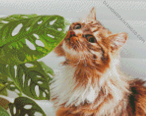 Cute Cat Plant Diamond Paintings